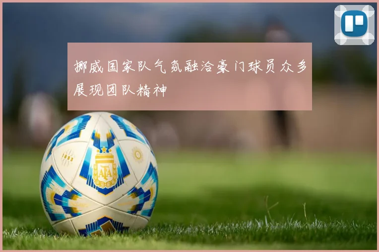 挪威国家队气氛融洽豪门球员众多展现团队精神